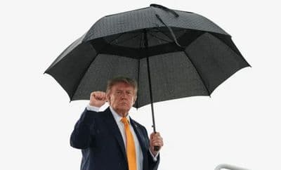 ট্রাম্প