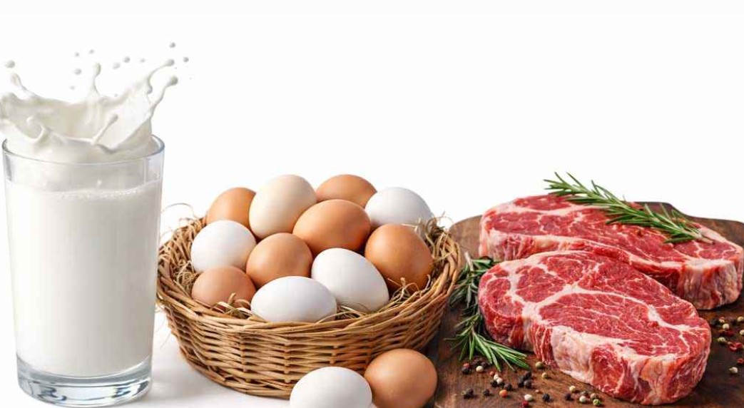 দুধ, ডিম ও মাংস 